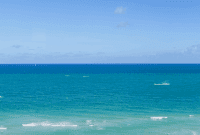 Miami’s 24-Hour Adventure