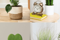 19 Remarkable Houseplants That Are Surprisingly Simple