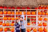 Harvest Hues: Your Weekly Digest