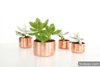 DIY Copper Craft: Mini Pots for Greenery & Organization