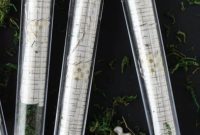 Concocting Fun DIY Test Tube Party Invites