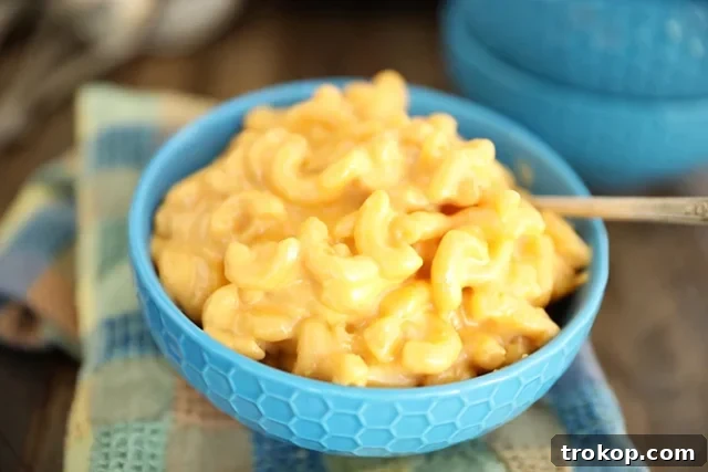 No Oven, No Sweat: 33 Summer Slow Cooker Recipes 22 The Best Crock Pot Mac and Cheese