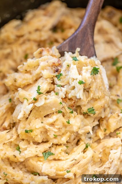 No Oven, No Sweat: 33 Summer Slow Cooker Recipes 28 Slow Cooker Parmesan Chicken and Rice