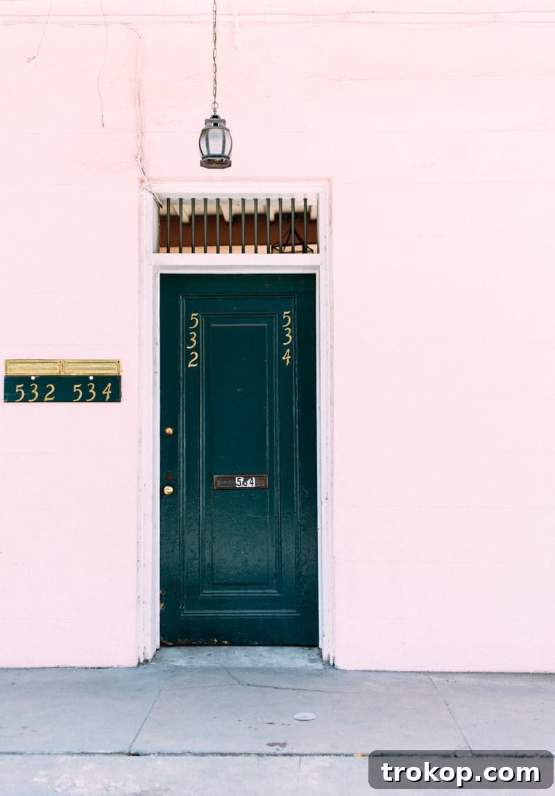 Historic Architecture of the French Quarter, New Orleans