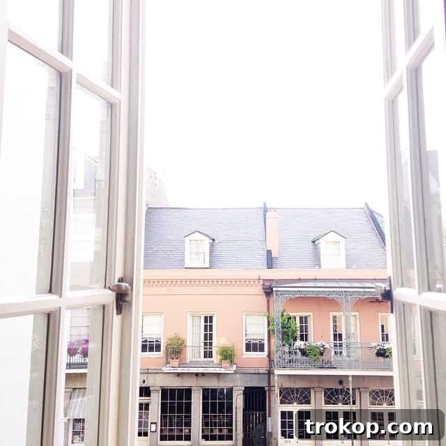 View from W French Quarter Hotel Balcony