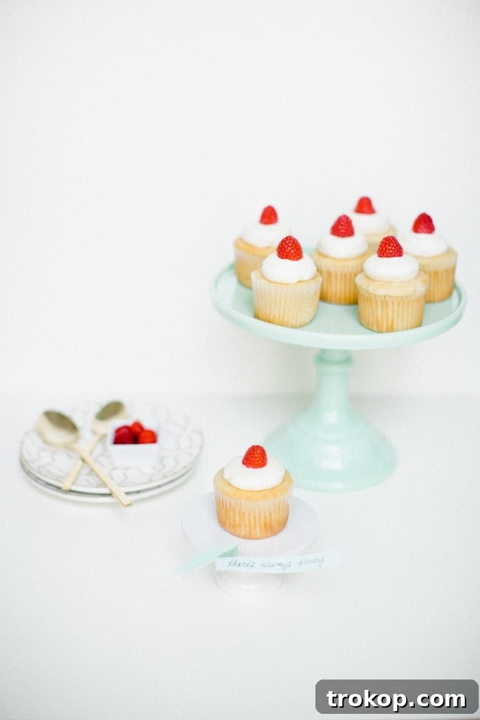 Signature Vanilla Bean Cupcakes 2 Classic Vanilla Cupcakes - The Ultimate Dessert
