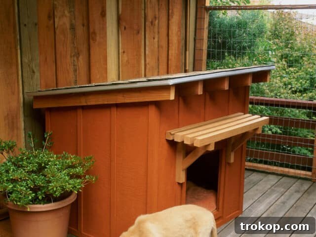 Craft the Perfect Canine Retreat: DIY Dog House Ideas 12 Mini Ranch House for DIY dog houses