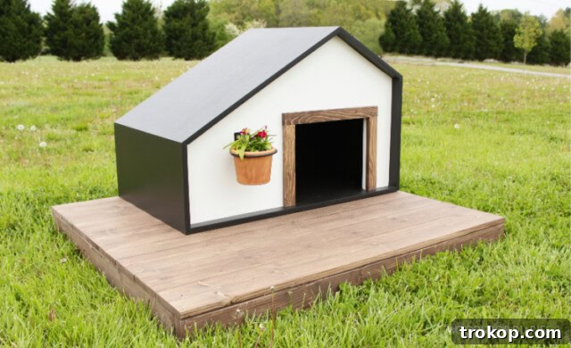 Craft the Perfect Canine Retreat: DIY Dog House Ideas 13 Outdoor Pet House with Contrasting Trim and Flower Pot Hanger