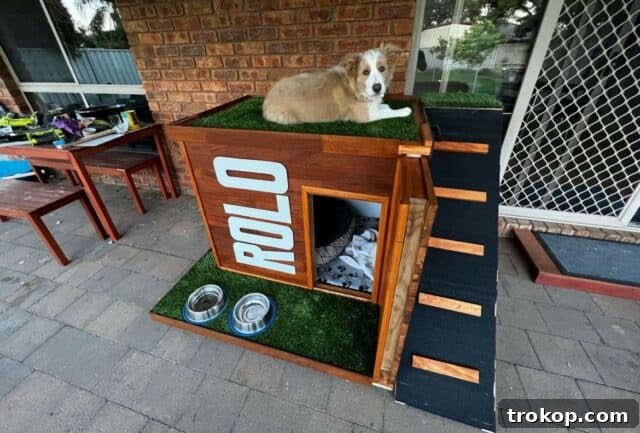 Craft the Perfect Canine Retreat: DIY Dog House Ideas 14 Dog kennel with ramp and rooftop for ultimate outdoor living
