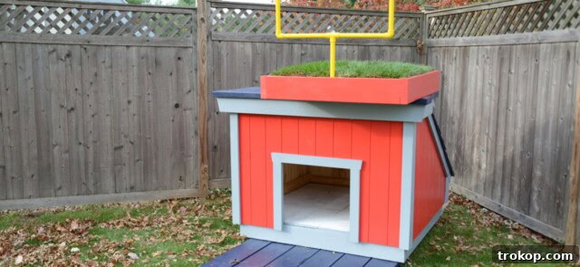 Craft the Perfect Canine Retreat: DIY Dog House Ideas 16 Football DIY Dog House inspired by New England Patriots