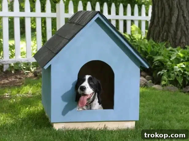 Craft the Perfect Canine Retreat: DIY Dog House Ideas 17 DIY Doghouse: How to Build a Simple A-Frame