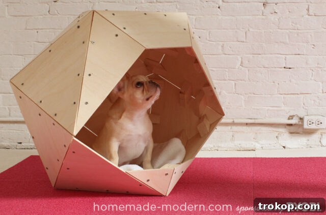 Craft the Perfect Canine Retreat: DIY Dog House Ideas 20 Geometric Dog House for DIY dog houses
