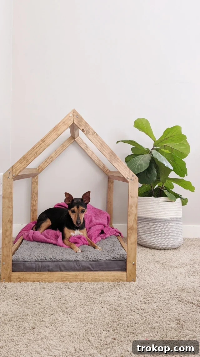 Craft the Perfect Canine Retreat: DIY Dog House Ideas 3 DIY Modern Dog House with Building Guide