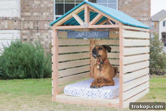 Craft the Perfect Canine Retreat: DIY Dog House Ideas 21 Doghouse Gazebo for Outdoor Shade and Shelter
