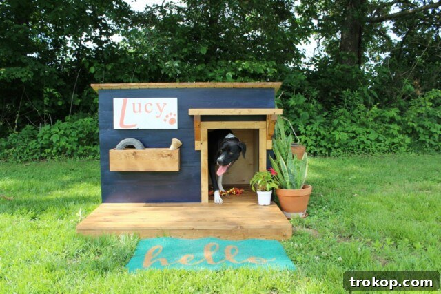 Craft the Perfect Canine Retreat: DIY Dog House Ideas 7 Insulated Dog House with Spacious Deck for Winter Comfort