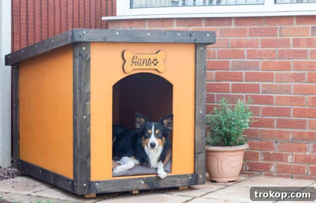 Craft the Perfect Canine Retreat: DIY Dog House Ideas 8 Plywood Dog House with Removable Roof and Curved Door Opening