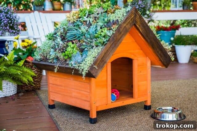 Craft the Perfect Canine Retreat: DIY Dog House Ideas 9 DIY Living Roof Dog House for Eco-Friendly Pet Comfort