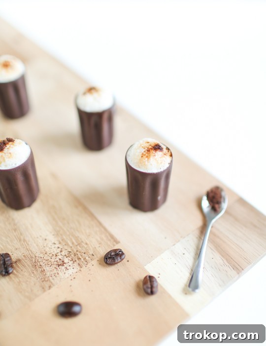 Decadent Chocolate Espresso Shot 2 Espresso Milkshake Shots: The Ultimate Dark Chocolate Coffee Treat