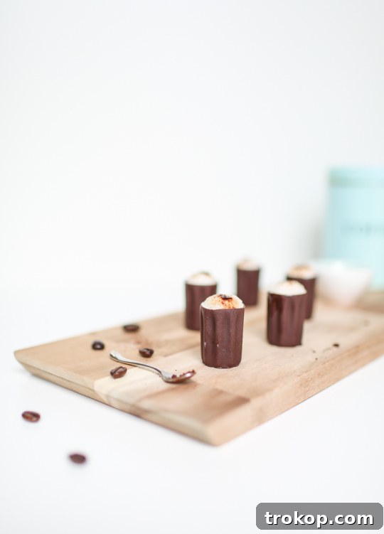 Decadent Chocolate Espresso Shot 3 Rich Dark Chocolate Espresso Milkshake Shots Recipe