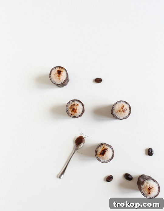 Decadent Chocolate Espresso Shot 6 Espresso Milkshake Shots Garnished with Coffee Grinds