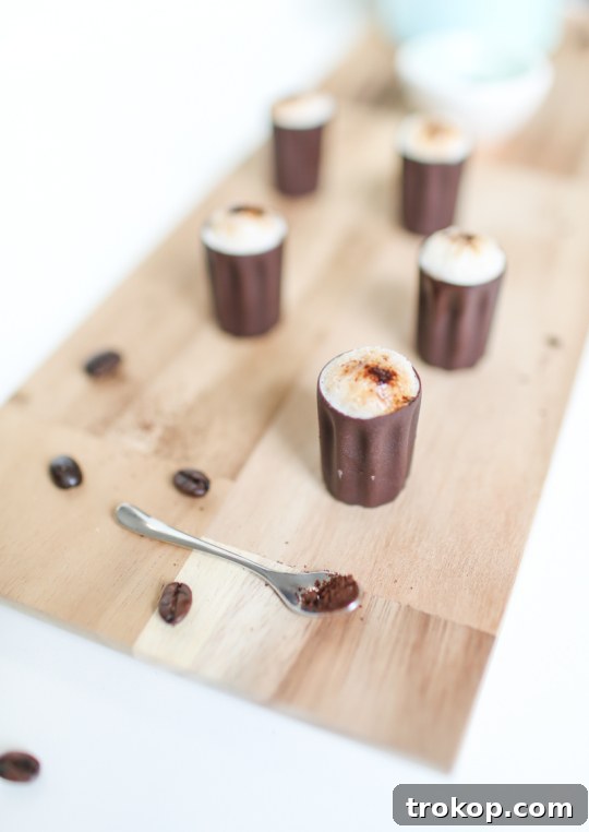 Decadent Chocolate Espresso Shot 7 Variety of Milkshake and Ice Cream Shots