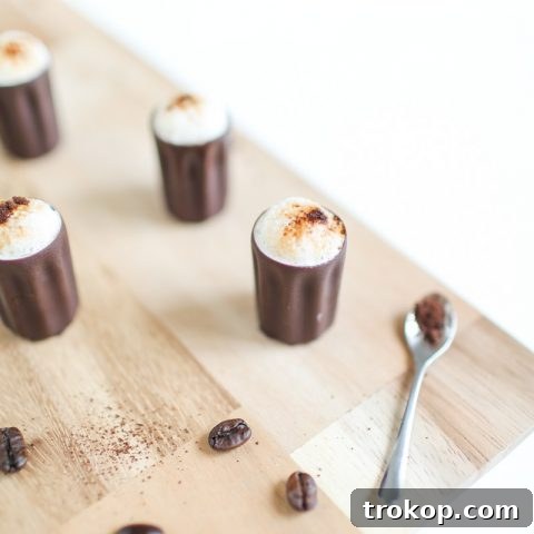 Decadent Chocolate Espresso Shot 8 Dark chocolate espresso milkshake shots - Sugar and Cloth