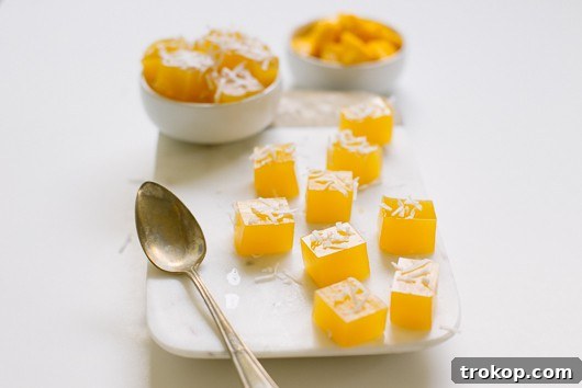 Ingredients for mango jello mix laid out, including mango nectar and gelatin