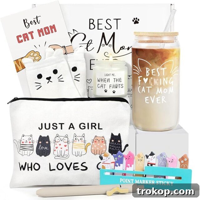 Cat Themed Gift Box, an Amazon Prime eligible gift set for cat lovers