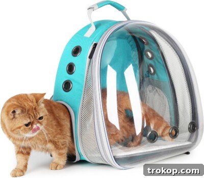 Expandable Pet Backpack Carrier, comfortable and safe travel solution for hiking cat lovers