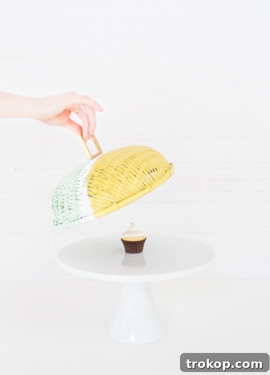 Make Vibrant Colorblock Food Domes 3 Two beautifully painted colorblock food domes on a vibrant tablecloth