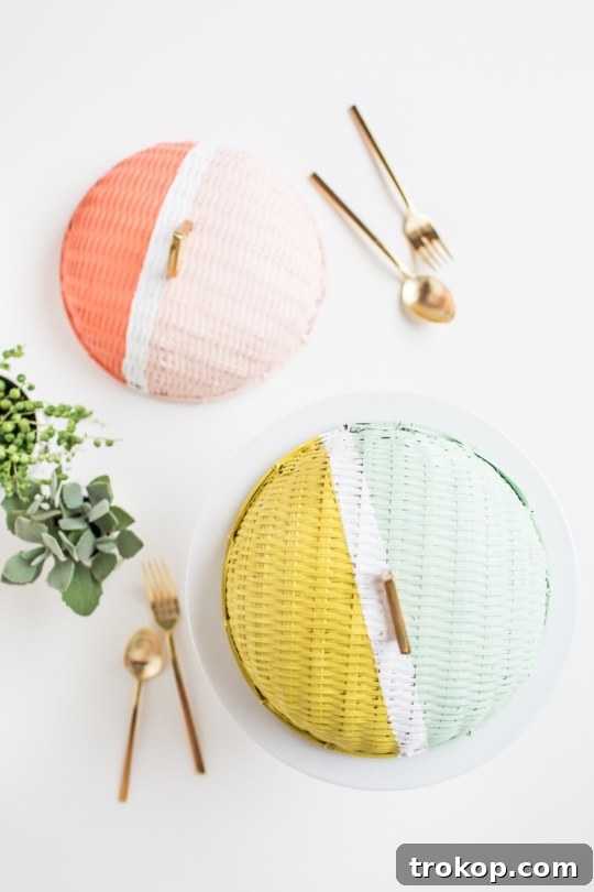 Make Vibrant Colorblock Food Domes 9 Multiple colorblock food domes protecting various desserts at an outdoor gathering