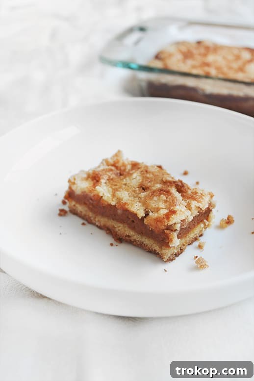 Easy pumpkin crumb cake recipe made with boxed cake mix, featuring spiced pumpkin flavor and a buttery crumb topping.