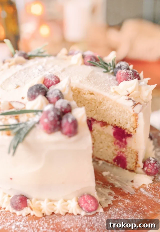 Elegant cranberry orange almond cake with vibrant filling and velvety mascarpone buttercream, a stunning Thanksgiving centerpiece.