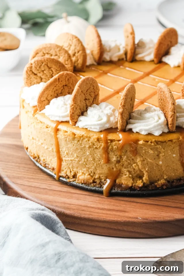 Impressive gluten-free pumpkin cheesecake with a gingersnap crust, caramel sauce, whipped cream, and gingersnap cookies.