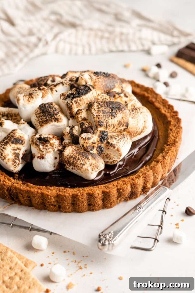 S'mores Pumpkin Pie: graham cracker crust, spiced pumpkin filling, toasted marshmallows, and rich chocolate ganache, a ultimate dessert mashup.