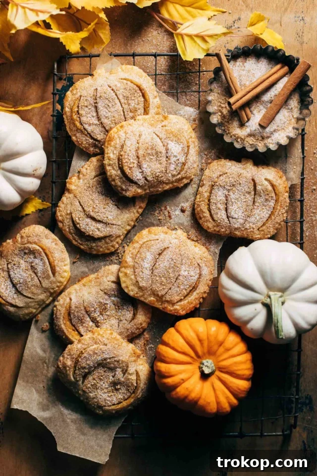 Portable mini pumpkin hand pies with spiced pumpkin filling and flaky buttery crust, a delicious twist on classic fall dessert.