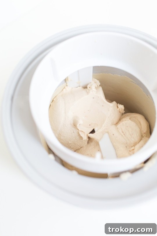 Chai Spice Ice Cream Bliss 4 Gathering ingredients and equipment for making Homemade Chai Latte Ice Cream.