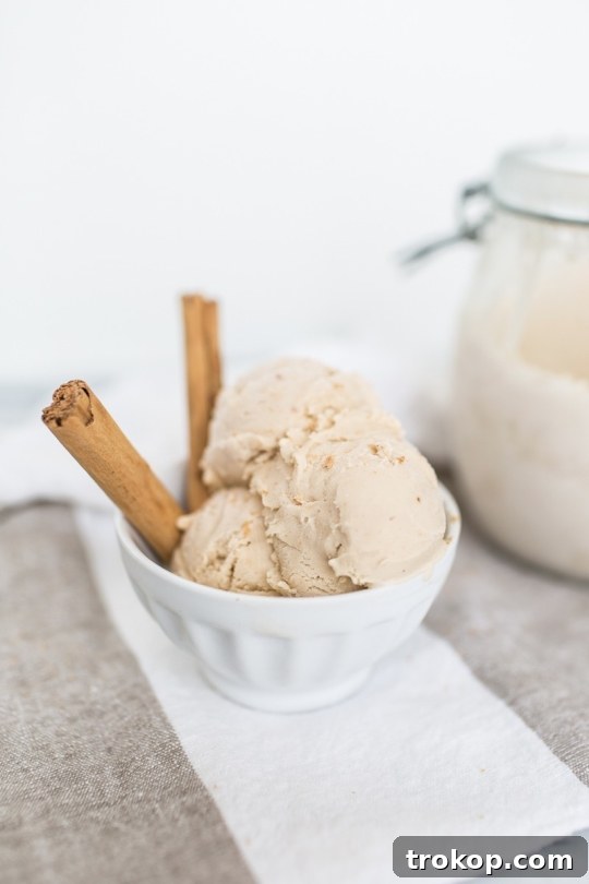 Chai Spice Ice Cream Bliss 6 Close-up of Homemade Chai Latte Ice Cream in a bowl.