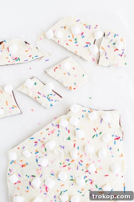 Smores Bark Recipe 4 s'mores bark recipe | sugarandcloth.com