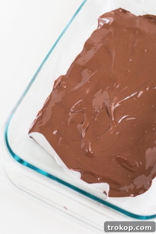 Smores Bark Recipe 5 smores bark-8