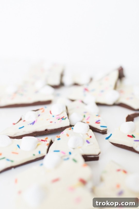 Smores Bark Recipe 7 s'mores bark recipe | sugarandcloth.com