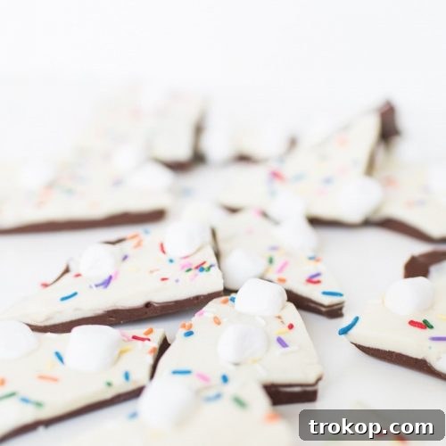 S'mores Bark Recipe - Sugar and Cloth