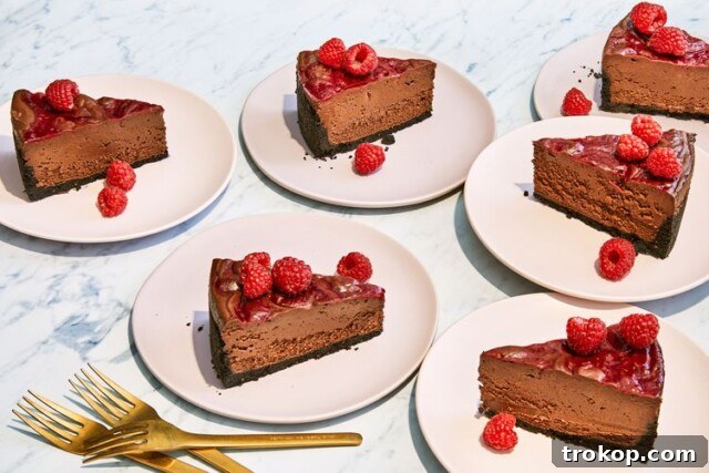 34 Irresistible Valentine's Day Treats 14 Elegant chocolate raspberry cheesecake with a chocolate wafer crust, raspberry jam swirls, and fresh raspberries, a harmonious blend of rich and bright flavors.
