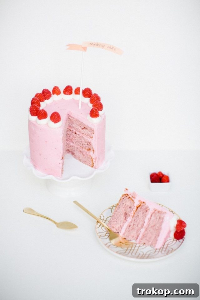 34 Irresistible Valentine's Day Treats 6 Elegant raspberry layer cake with fluffy raspberry buttercream, offering a perfect balance of sweet and tangy flavors for a romantic dessert.