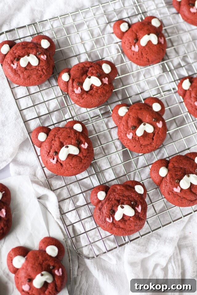 34 Irresistible Valentine's Day Treats 8 Adorable red velvet bear cookies, soft with rich cocoa flavor and decorated with melted chocolate, perfect for a cute Valentine's Day treat.