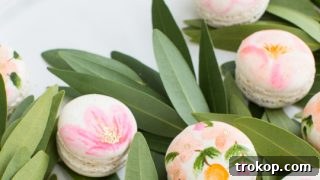 DIY Floral Macarons