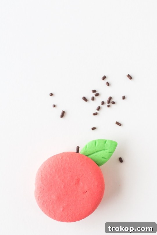 Step-by-step decoration process for kiwi macarons.