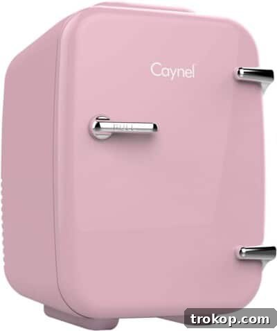 CAYNEL Mini Fridge Portable Thermoelectric 4 Liter Cooler and Warmer for Skincare, Eco Friendly Beauty Fridge For Foods, Medications.