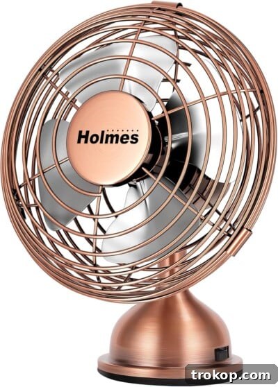 Mini Desk Fan, a stylish and portable solution for cooling your workspace.