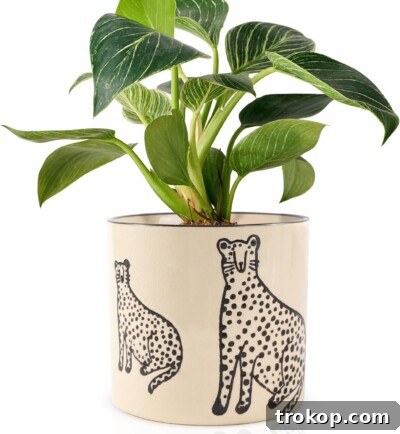 Ceramic Plant Pots with Drainage, featuring cute panther and floral designs.